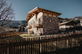 Alpin Chalet Samer Apt Berghütte